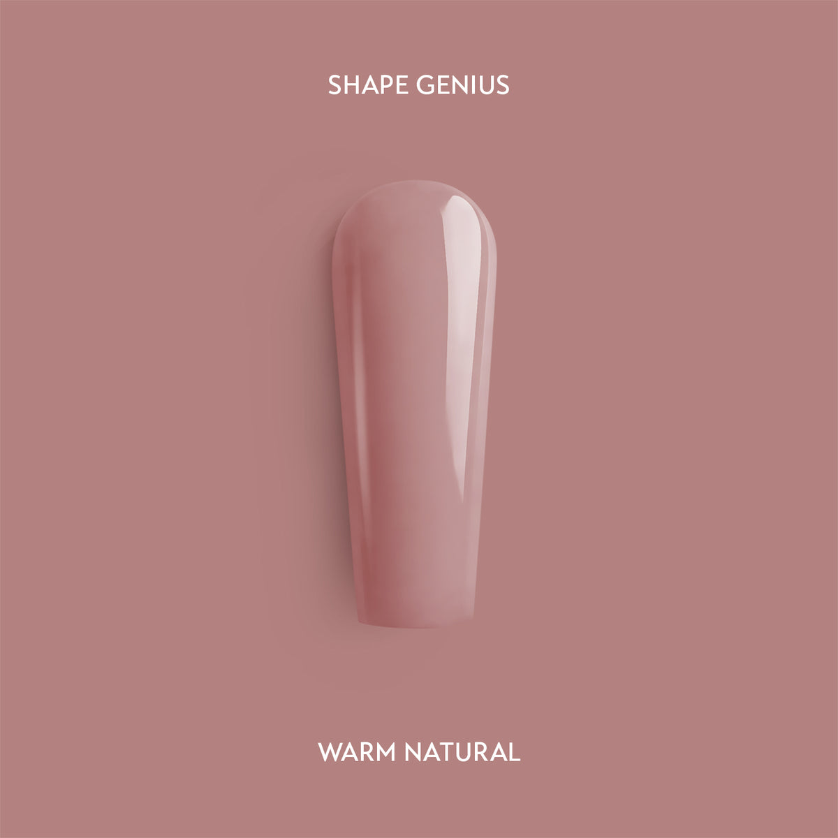 Shape Genius - Warm Natural 15g